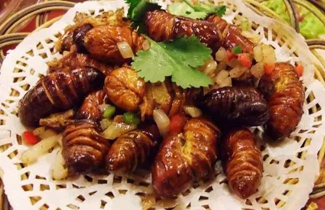 蝉蛹什么成语_蝉蛹图片