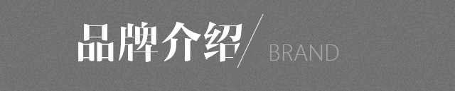V21品牌介绍