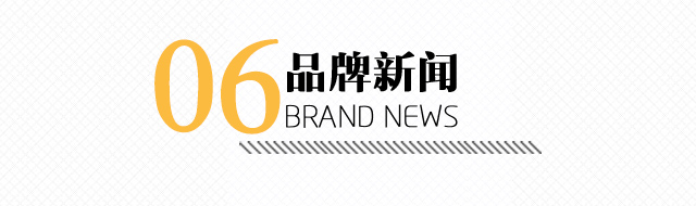 雪中飞品牌新闻