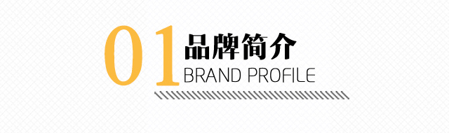 雪中飞品牌介绍