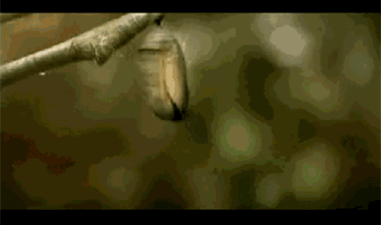 425_251gif 动态图 动图