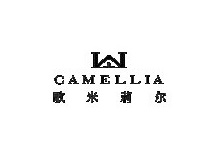 深圳市飘鼎内衣有限公司
