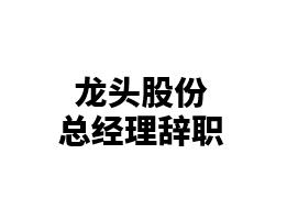 龙头股份关于董事、总经理辞职暨聘任总经理的公告