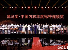 喜報！閨秘品牌于中國內衣行業年度黑馬頒獎盛典中獲獎